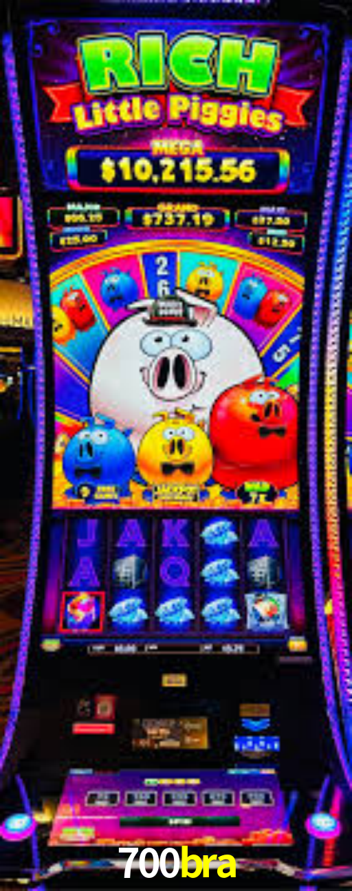 Interface Premium 700bra